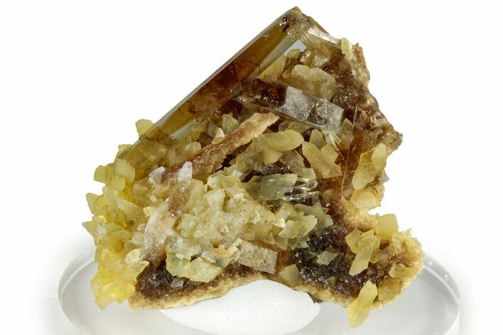 Honey Colored Barite Crystals on Fluorescent Calcite - Elk Creek #330357